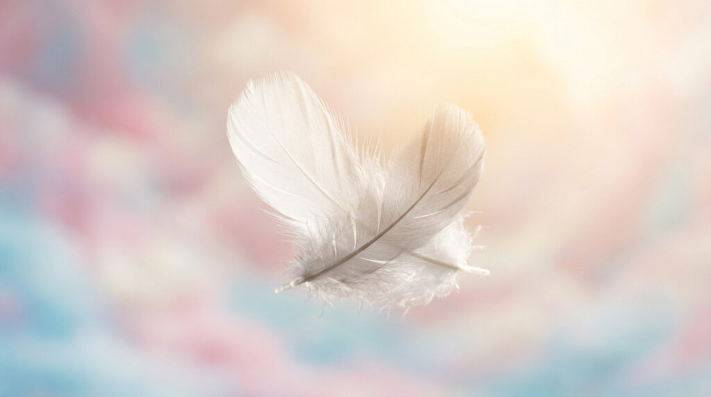 Deux plumes blanches délicates se croisent sur un fond flou aux teintes pastel (rose, bleu, jaune), éclairées par une douce lumière dorée.